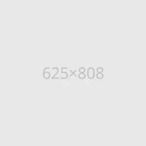 Pointed Stiletto Shoes